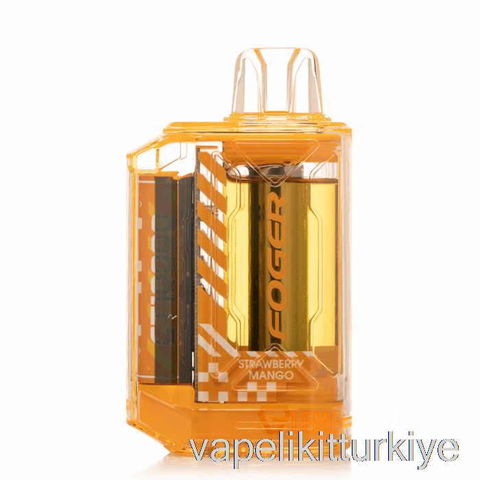 Elektronik Sigara Kalemi Vape Mate Sisleyici Ct10000 Tek Kullanımlık çilek Mango